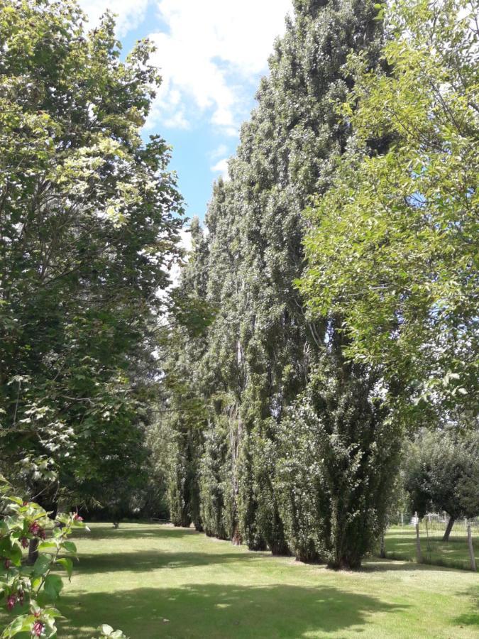 Logis De Lange Studio 2 P Saint-Hilaire-la-Palud 외부 사진